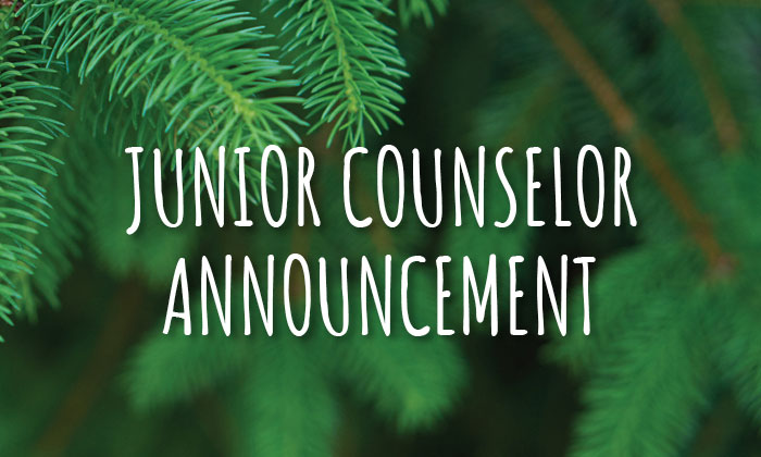 "junior counselor announcement" in white text on a green background